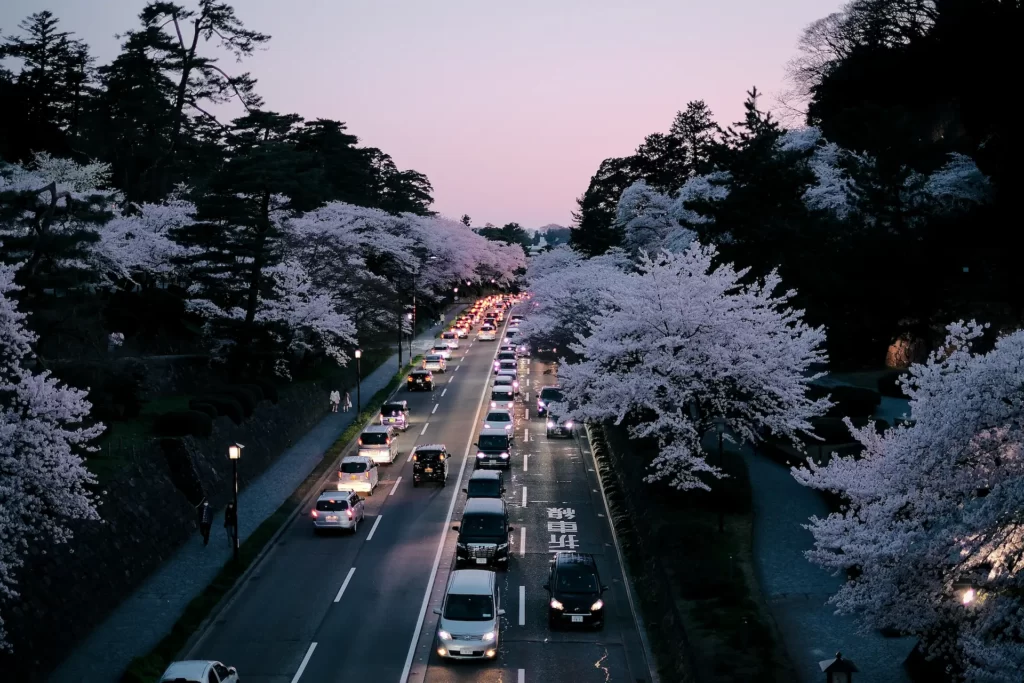 桜と車の大通り